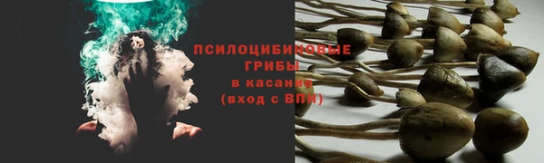 mdpv Баксан