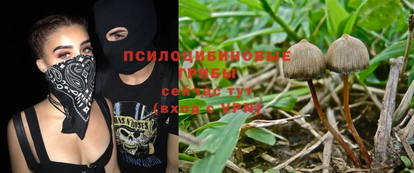 mdpv Баксан